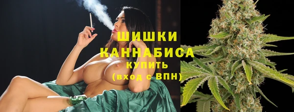 первитин Михайлов