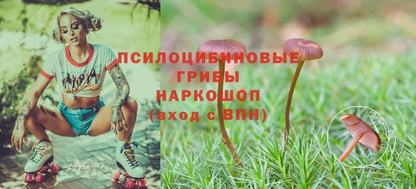 спиды Михайловка